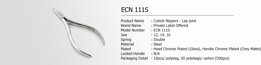 ECN 111S